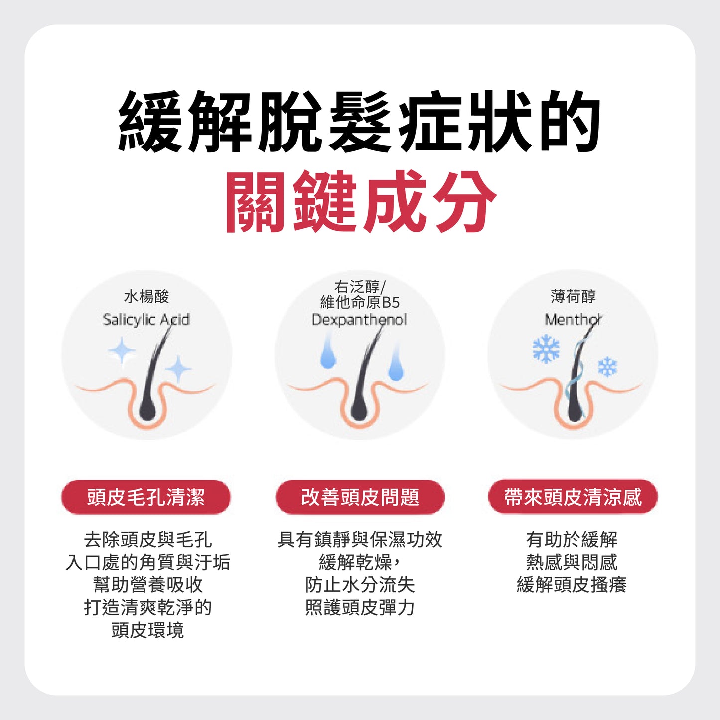 Dr. Banggiwon Lab 防脫髮護髮素 1000ml